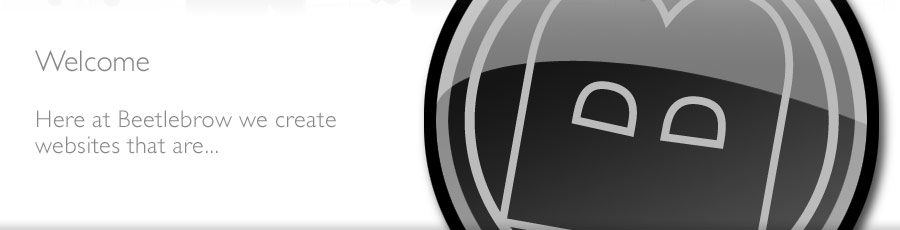 Welcome to Beetlebrow web design