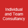 Individual and Team Consultancy