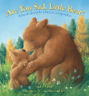 Are You Sad Little Bear