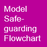 Model Safeguarding Flowchart