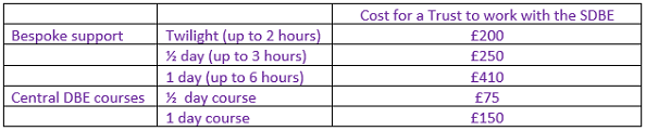 Cost of discounted bespoke support for Trusts- table