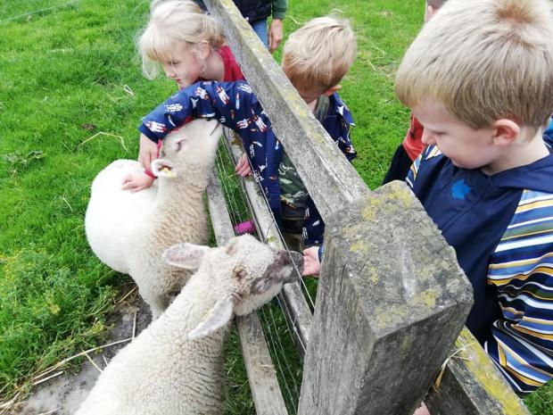 trent youngs on the farm 2