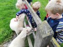 trent youngs on the farm 2