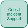 Critical Incident Support: for moments of extreme crisis. There is a 24-hour critical incident helpline, provision of an in-school critical incident support team with incident-specific skills, plus signposting and brokering for further long term help