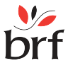 BRF- Bible Reading Fellowship