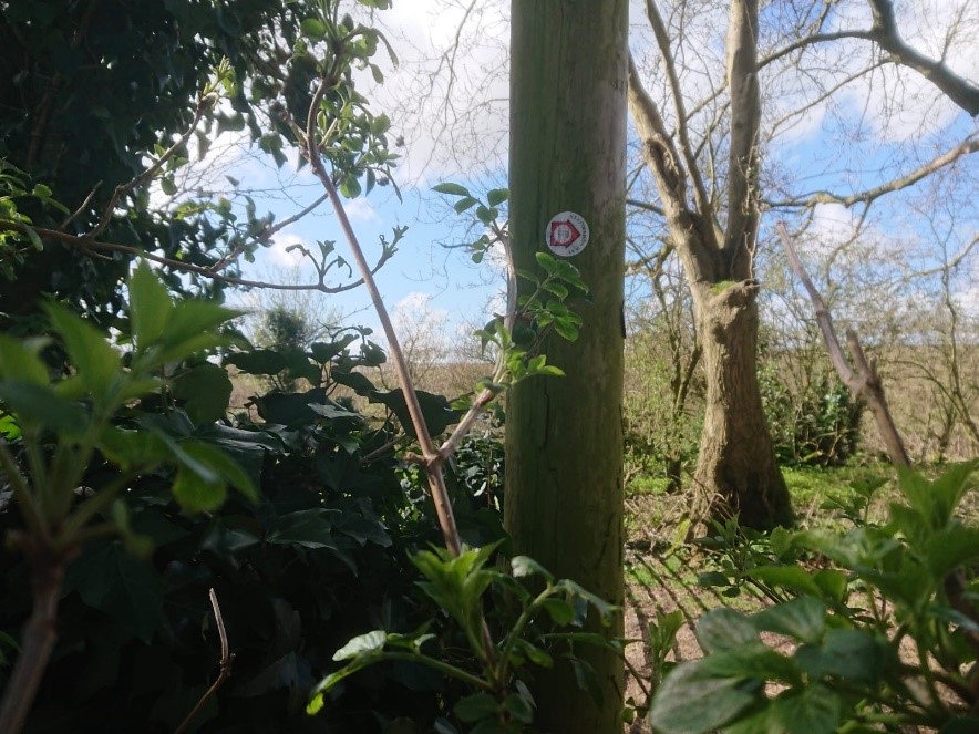 Passion Bearers Then and Now- St Edward's Way marker