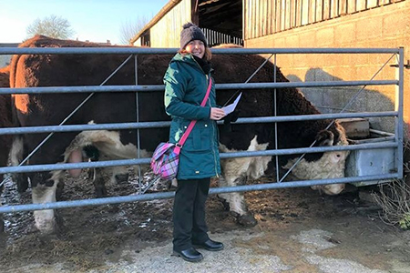 Messy Plough Sunday- Rector Trudy meets Tickles the bull