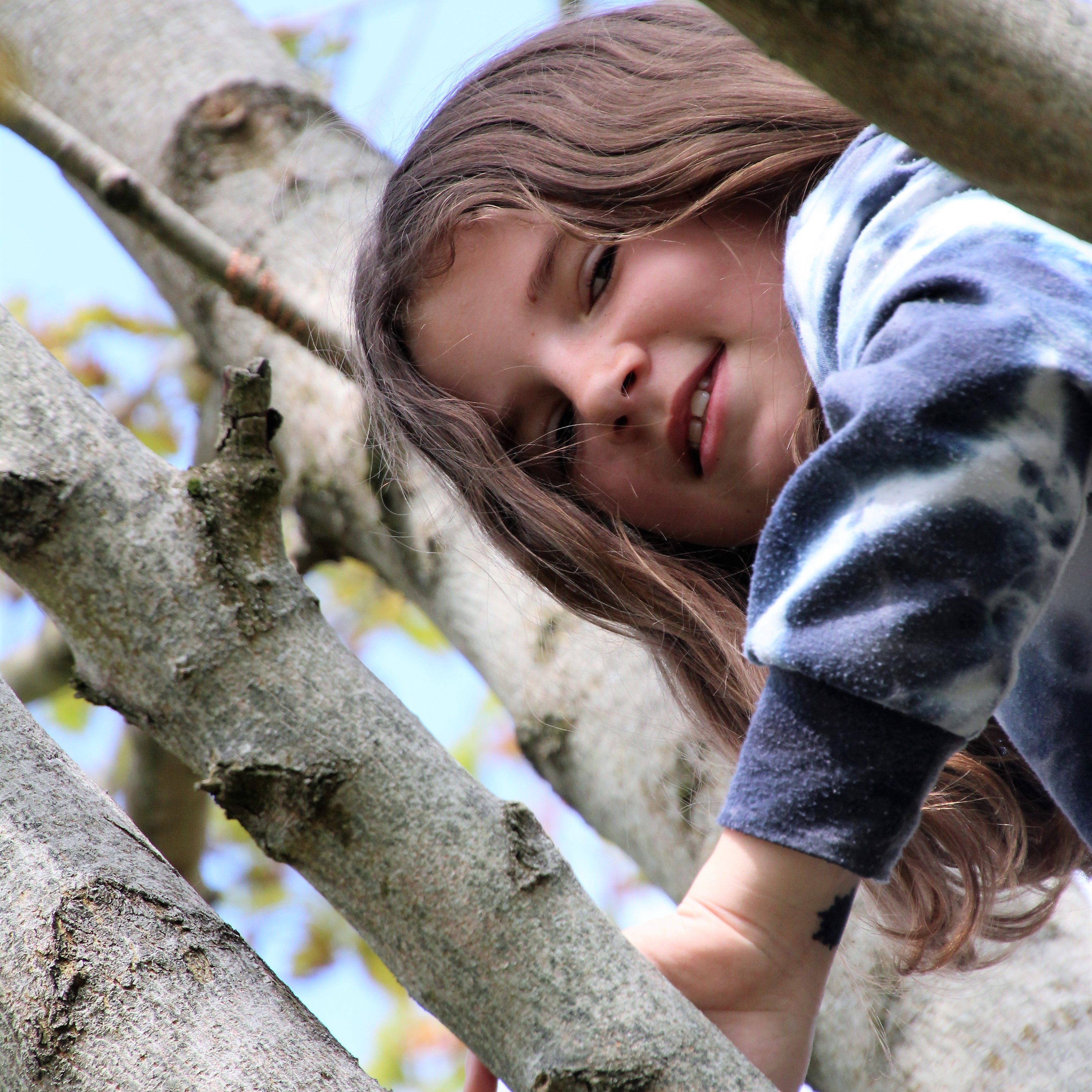 Running wild at Forest School- pupils making dens