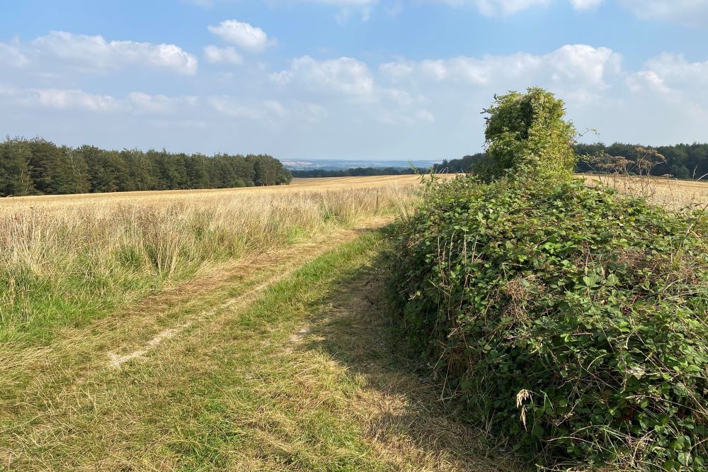 St Edward’s Way gets underway- a scenic route