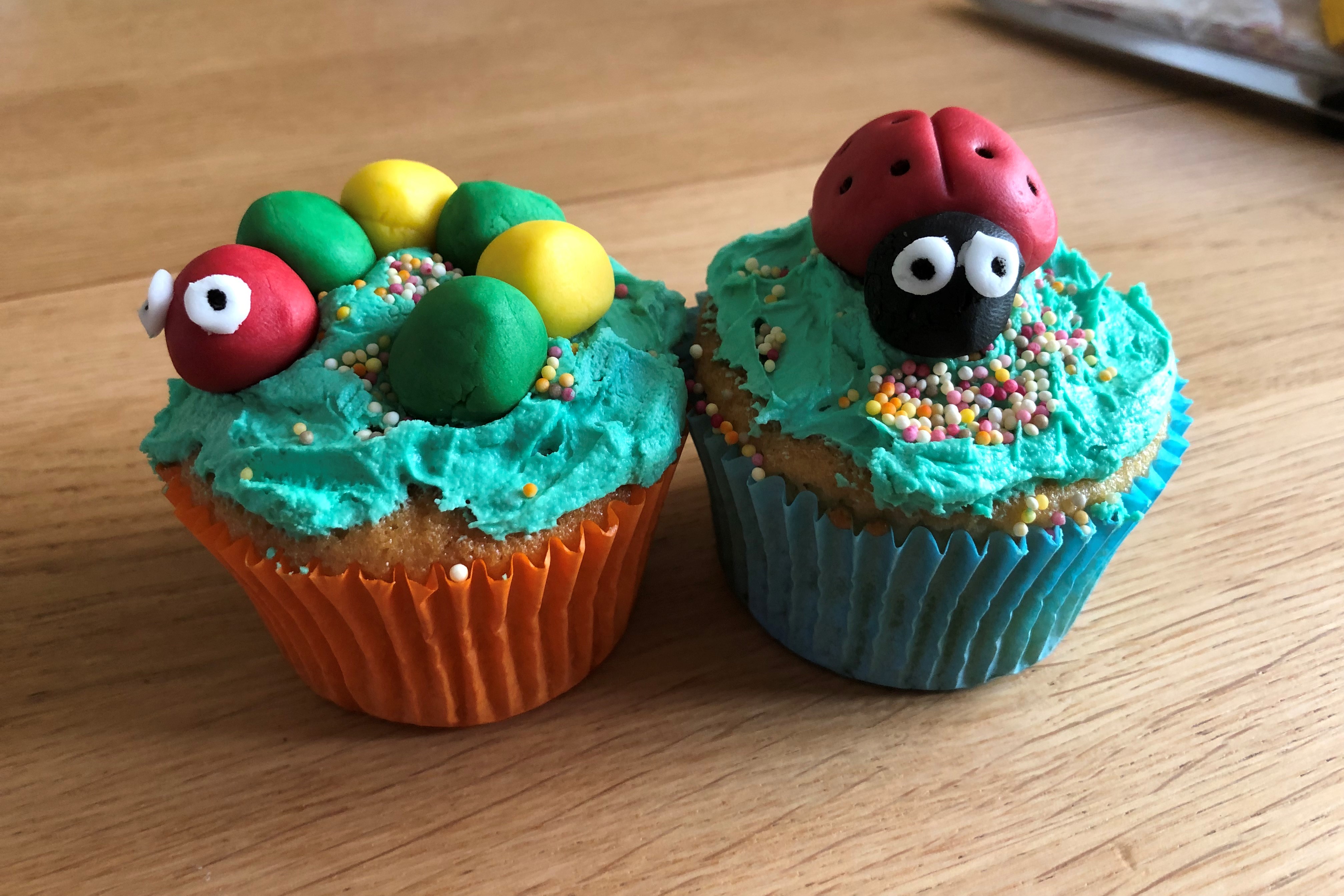 'We're going on a bug hunt'- yummy bug cakes