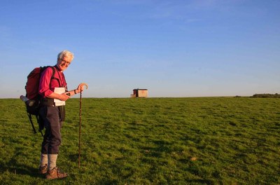 Bishop Ed on the Downs near Kingston Deverill