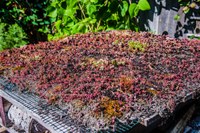 Bug Hotel Roof.jpg