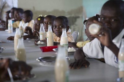 Haiti Milk Bottles