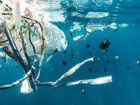 “Don't Bank on Plastics!” urge campaigners this Plastic Free July 