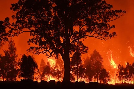 A prayer amidst the bushfires