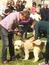 Blessing pets in Harnham