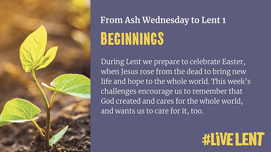 Can't get to your Lent Group? Then download the app