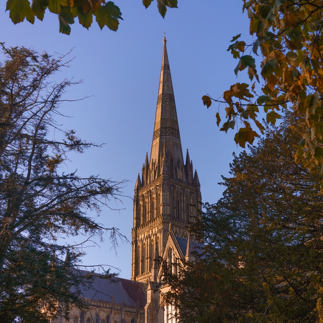 Catching up with a year at the Cathedral