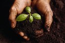 Celebrating the Living Soil