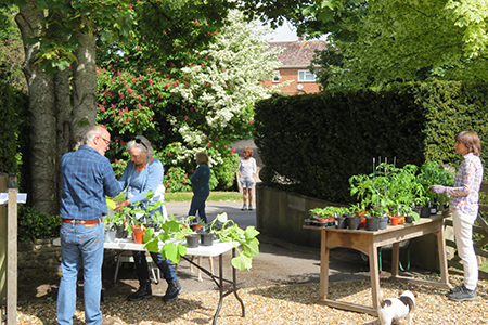 Chitterne's grand plant sale