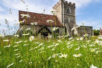 Going green poses "unique challenges" for churches