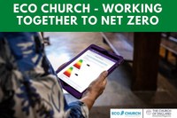 Net Zero in focus