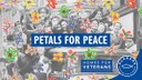 Petals for Peace