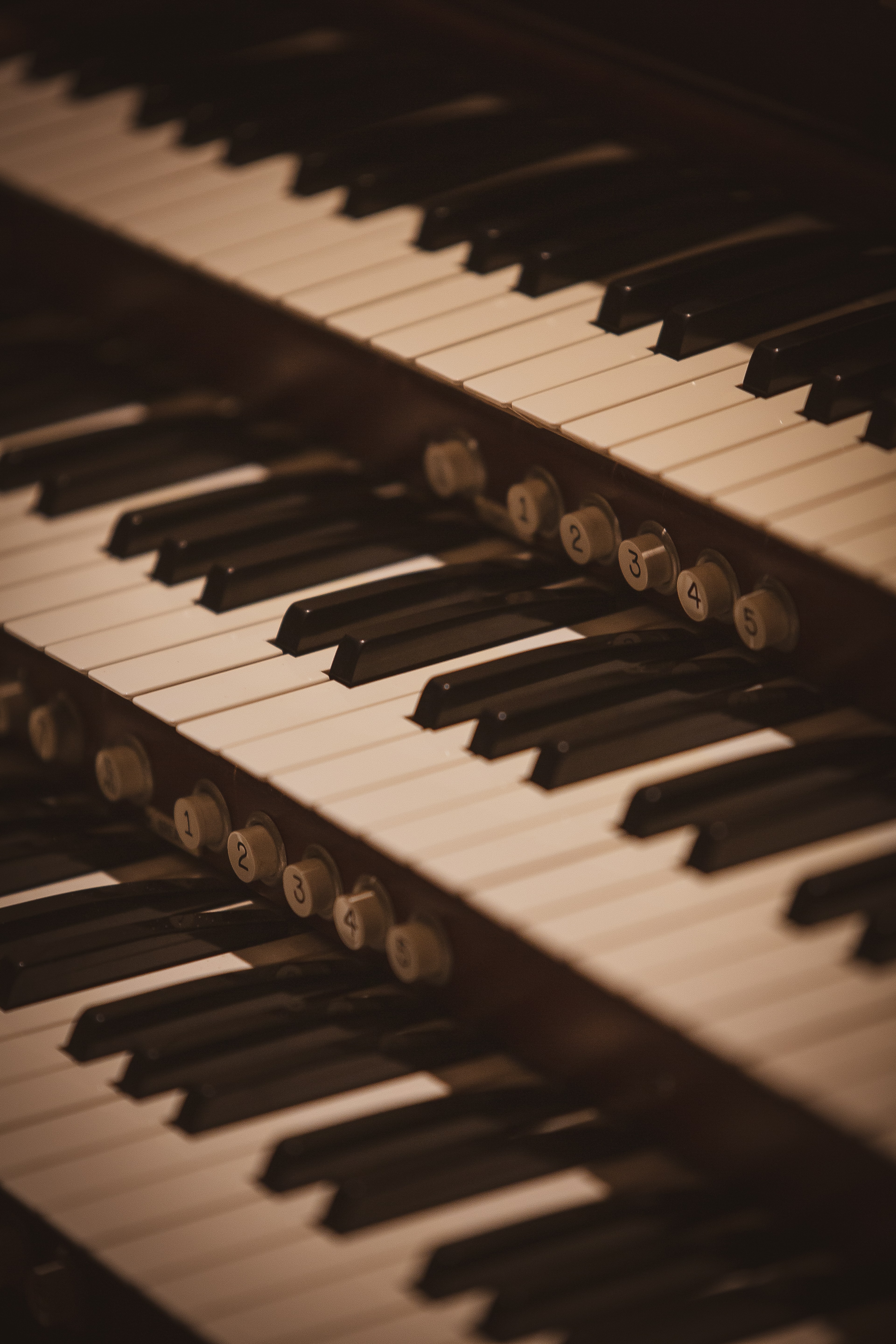 Salisbury Cathedral's first Organ concert since 2018 