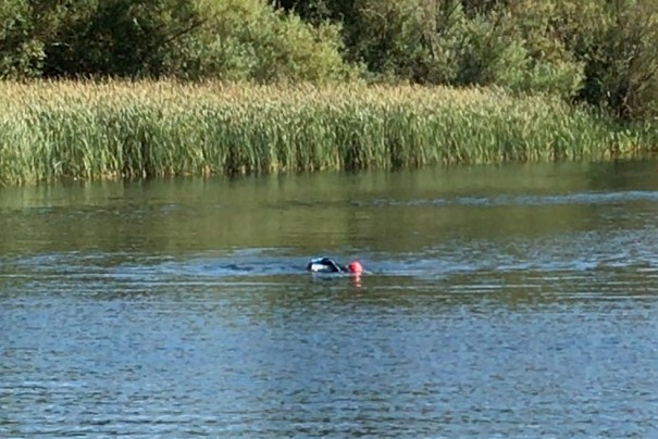 Swimming Again