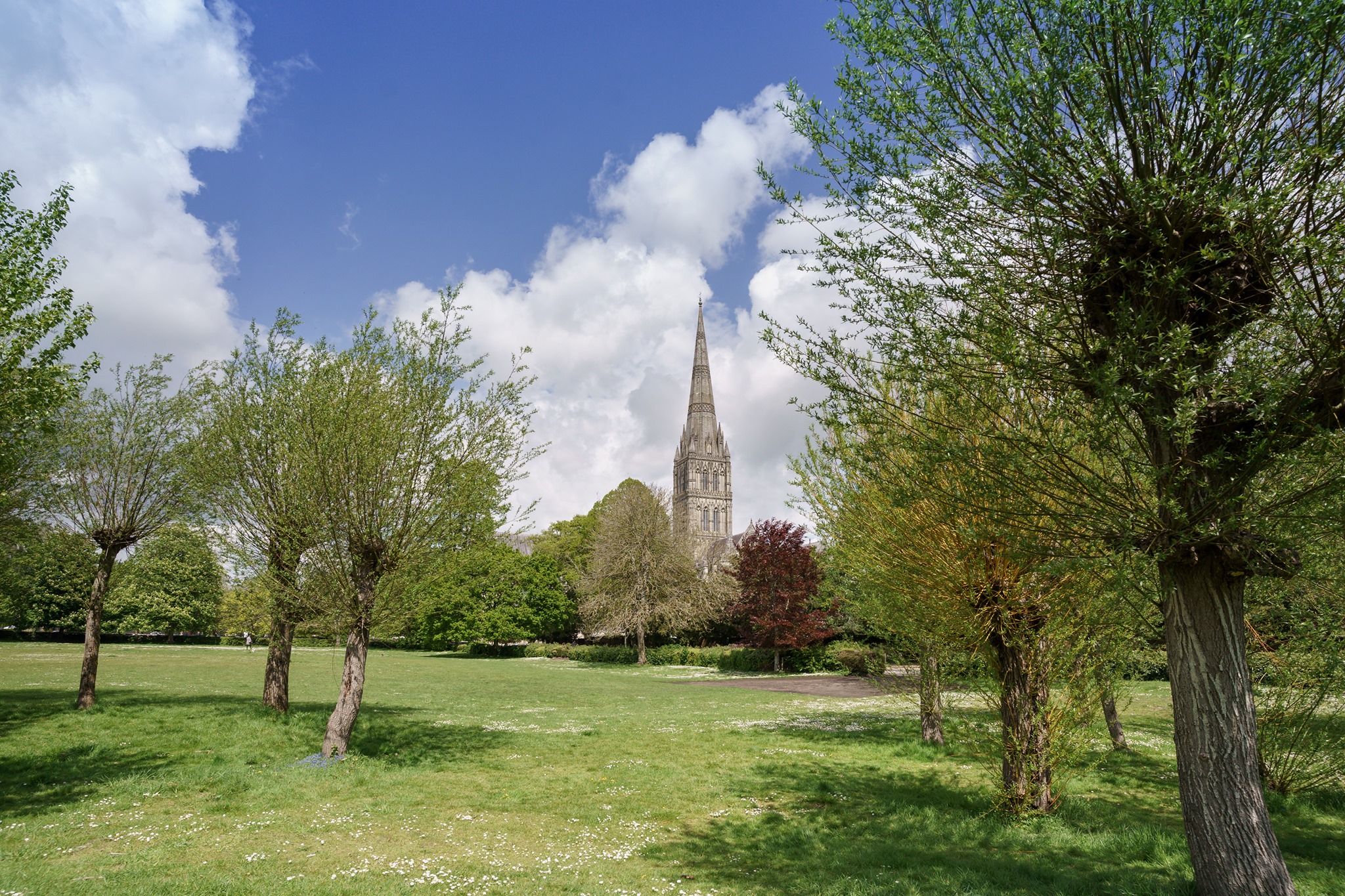 'The Vision' of Salisbury Cathedral Garden