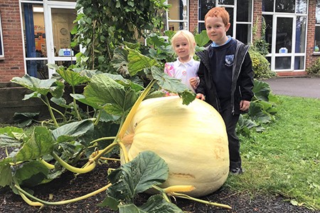 An Enormous Pumpkin