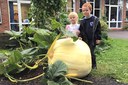 An Enormous Pumpkin