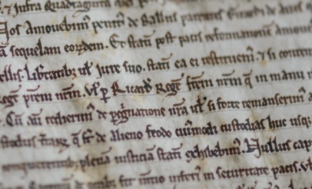 The Magna Carta Project