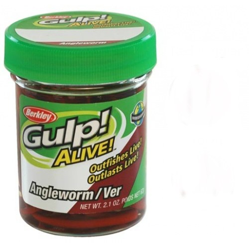 Berkley Gulp Alive Angle Worm Red Wiggler