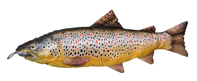 Fladen Cuddly Fish Cushion Brown Trout