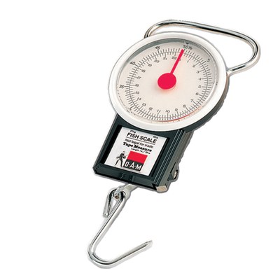 DAM Weigh Scale 22kg