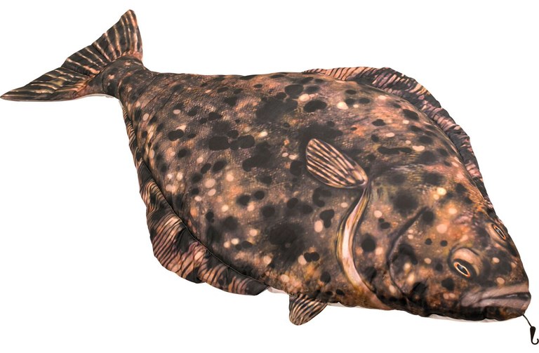 Fladen Cuddly Fish Cushion Halibut