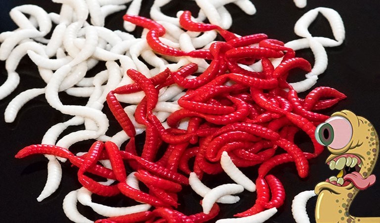 Fladen Vermz Maggots