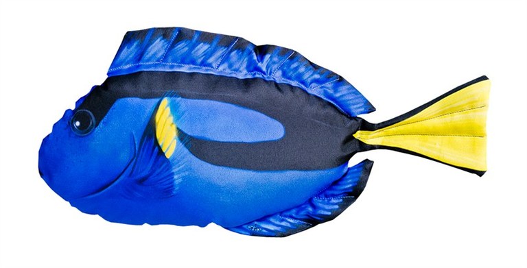 Gaby Mini Blue Tang (Dory) Cushion