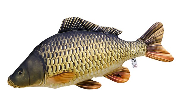 Gaby Common Carp Mini Pillow
