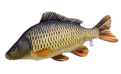Gaby Common Carp Mini Pillow 36cm