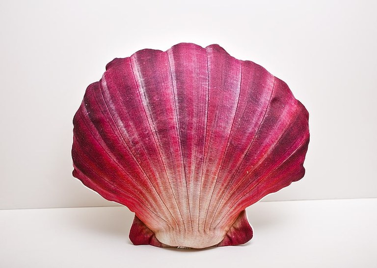 Gaby Scallop Pink Red 45cm cushion pillow toy