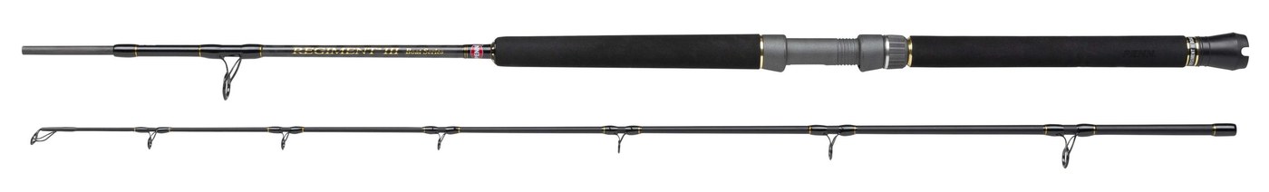 Penn Regiment III Boat Rod