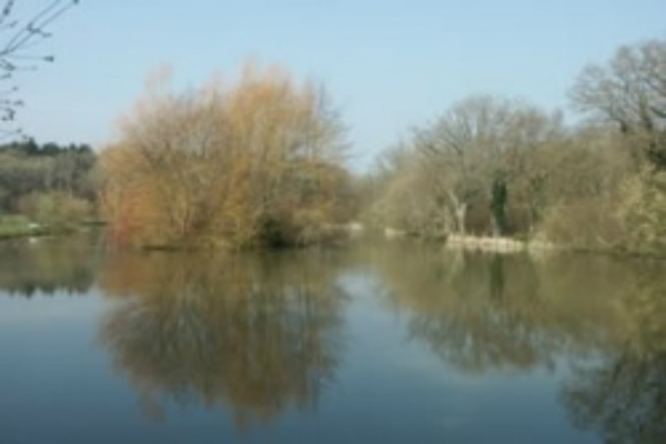 Lyons Gate Fishery