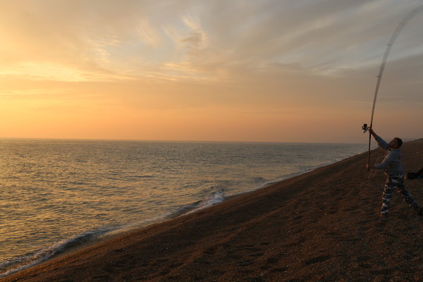 Abbotsbury