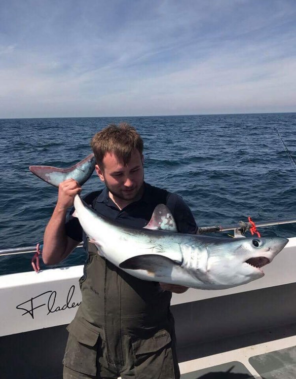 Jake Brotherwood Porbeagle Shark 38lbs on Meerkat