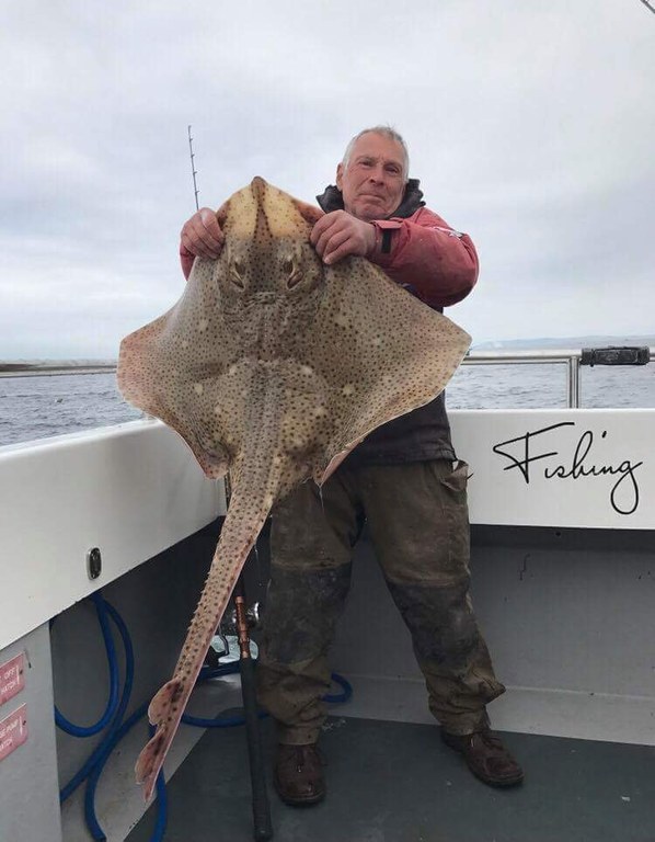 Chris Reeks 28lb 8oz Blonde Ray on Meerkat