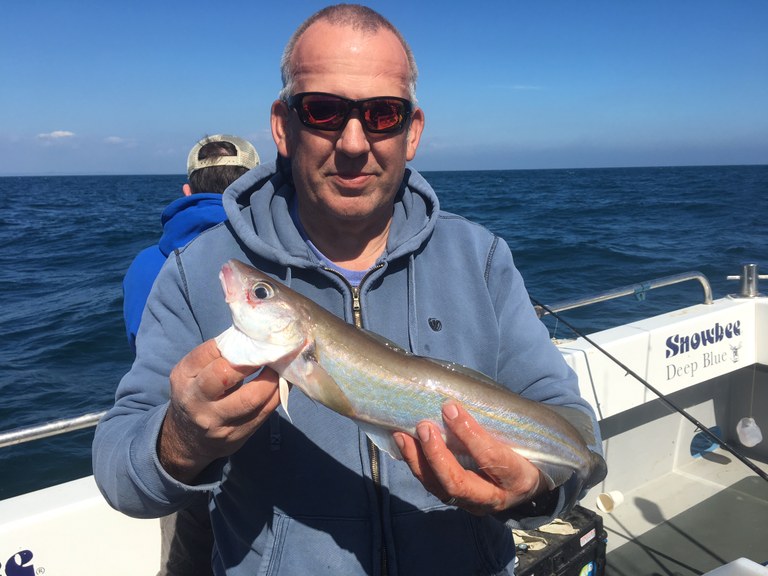 Rob Field 2lb Whiting on Supanova II